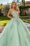 Princesa Vestido de XV Menta Verde Tul Cuello Corazón Applique