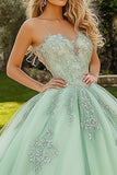 Princesa Vestido de XV Menta Verde Tul Cuello Corazón Applique